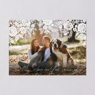Ornate Lace Save The Date Cards Midnight Signature smooth Blank No Standard