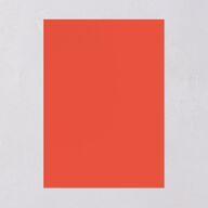 Color del Amor Save The Date Cards Salmon Signature smooth Blank No Standard