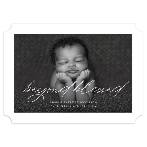 Beyond Blessed Holiday Cards Green Apple Signature Blank Ticket Landscape