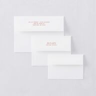 Modern Delicate Bows Thank You Card Envelopes Jewel Red White Both Recipient and Return Addresses Signature Standard