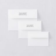 Technicolor Calligraphy Photo Save the Date Petite Card Envelopes White Pure White Both Recipient and Return Addresses Signature Standard