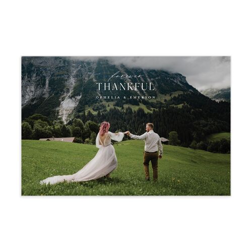 Mountain Wildflowers Thank You Postcards - Multi-Color