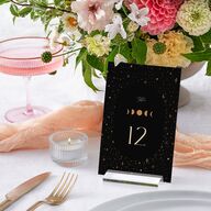 Celestial Galaxy Table Numbers Midnight Signature