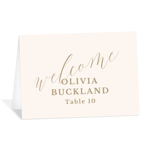 At Last Place Cards Linen Signature
