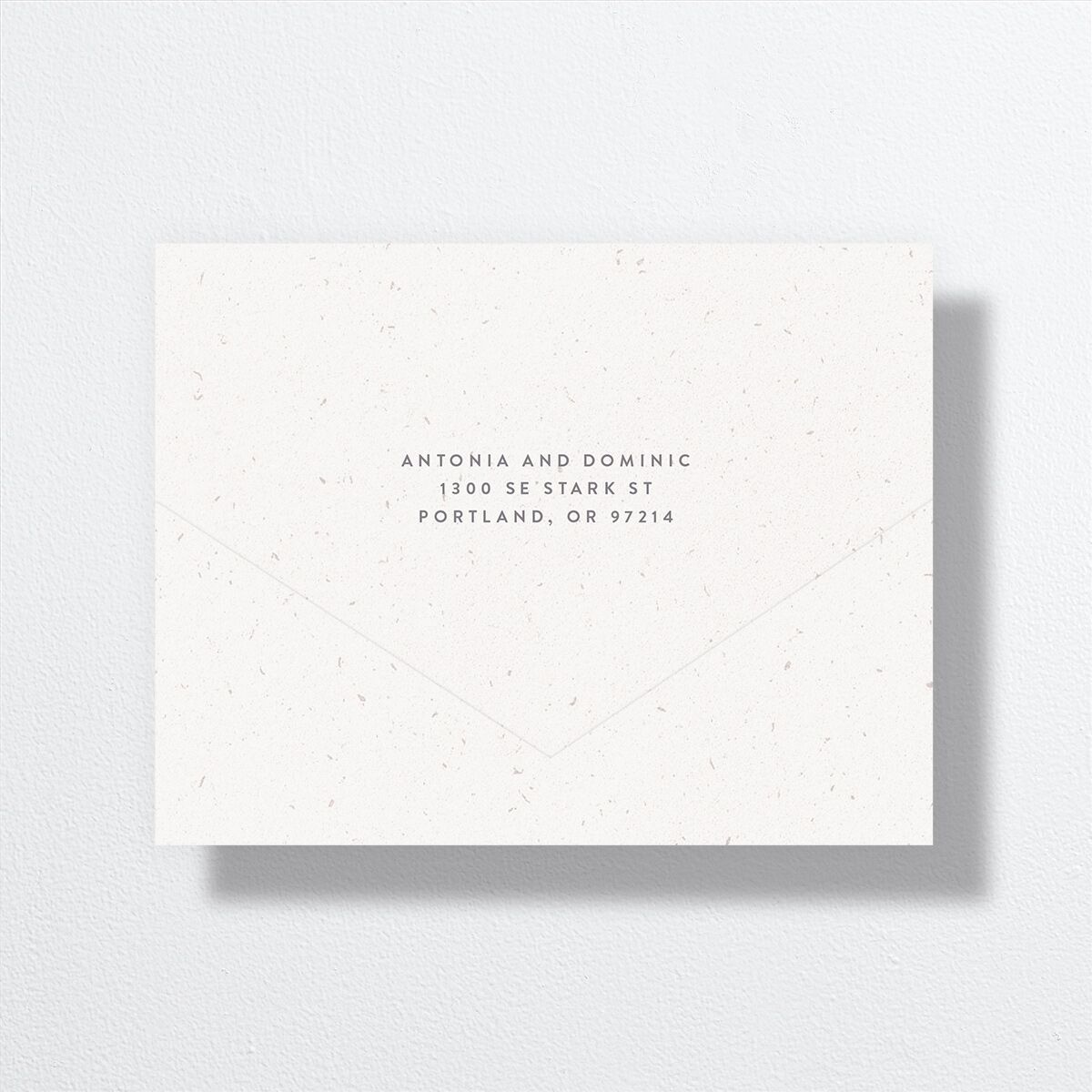 Timeless Passport All-in-One Wedding Invitations Shell Pink Signature Light Both Recipient and Return Addresses No