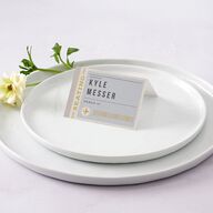 Retro Boarding Pass Travel Ticket Place Cards Slate Signature