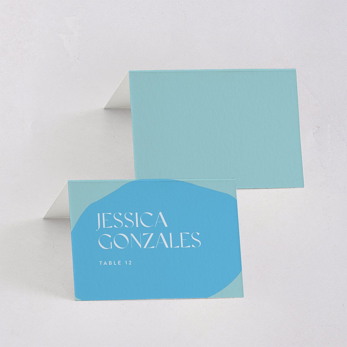 Santa Cruz Bilingual Foreign Language Place Cards Aquamarine Signature