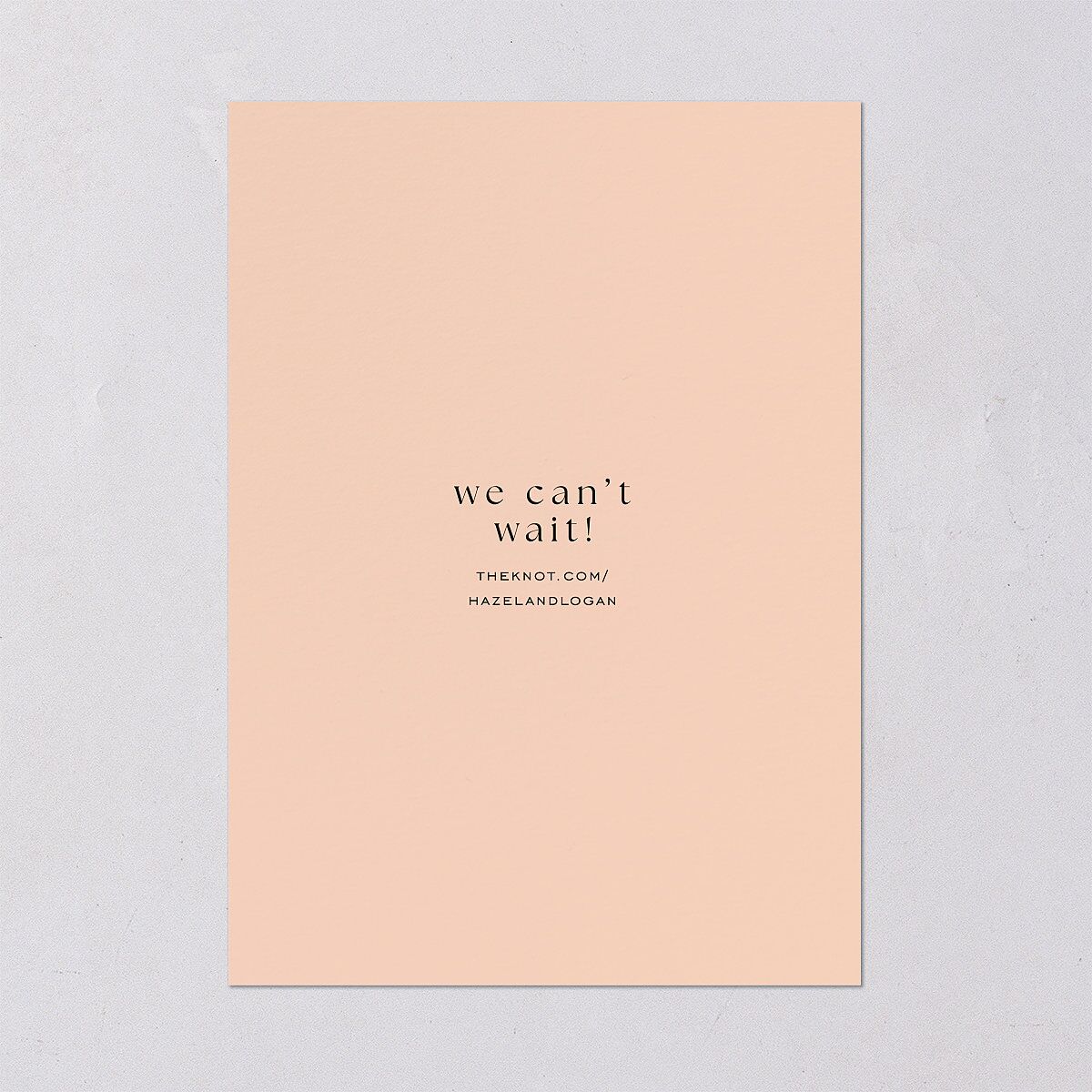 Desert Cactus Wedding Invitations Peach Fuzz Signature Blank No Standard
