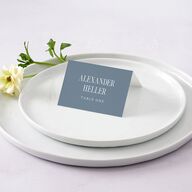 Elegant Wedding Of Place Cards Dusty Blue Signature