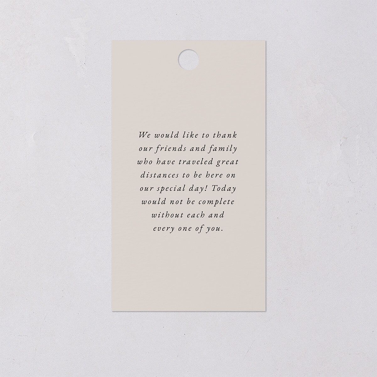 Nothing Fancy Favor Gift Tags Pure White Signature