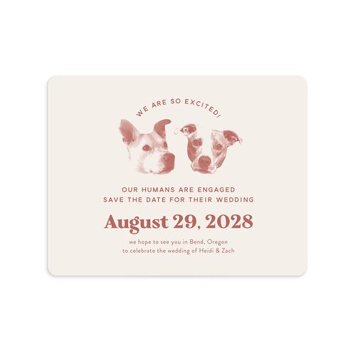 Custom Pet Portrait Save The Date Magnets Desert Rose Magnet Paper