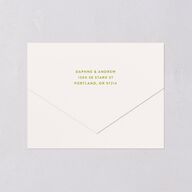 Eclectic Painted Stripes All-in-One Wedding Invitations Pear Signature Light Both Recipient and Return Addresses No