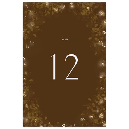 Moonlit Garden Table Numbers Gold Chocolate Signature