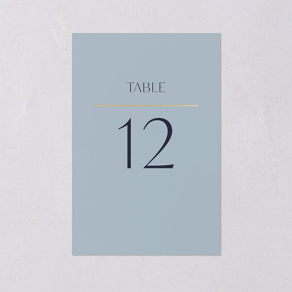 On This Day Table Numbers Gold Midnight Navy Signature