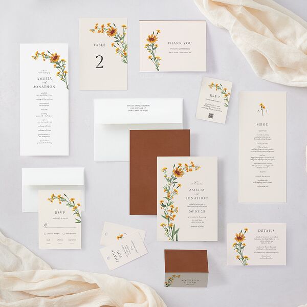 Wild Daisies Wedding Invitations Buttercup Signature Blank No Standard