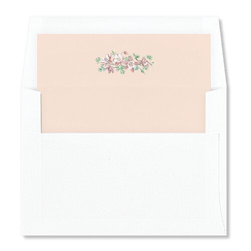 Scenic Denver Colorado Envelope Liners Iris Standard