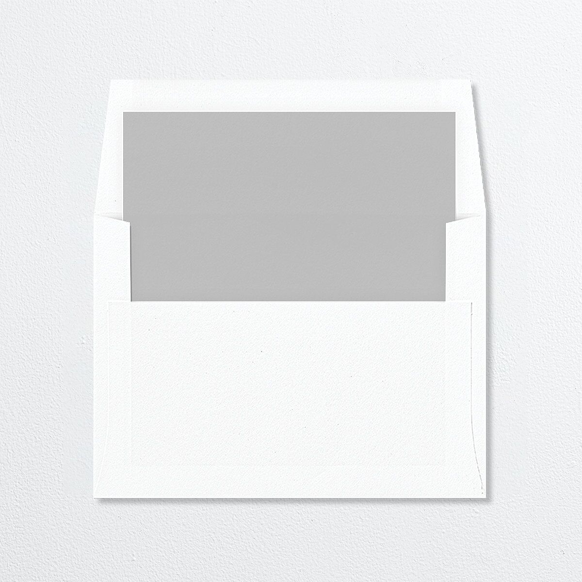 Modern Arc Standard Envelope Liners Licorice Standard