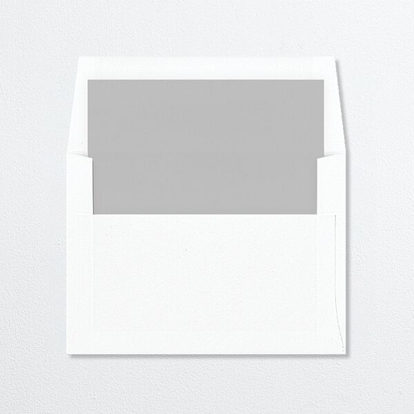 Modern Arc Standard Envelope Liners Licorice Standard