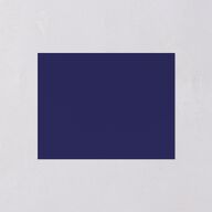 Adventure Icon Save the Date Petite Cards Navy Signature smooth Blank No Standard