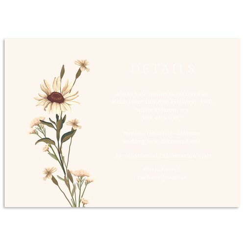 Wild Daisies Wedding Event Detail Cards Charcoal Signature Standard