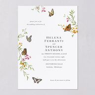Rustic Butterflies Wedding Invitations Pure White Signature Blank No Standard