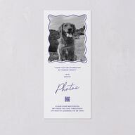 Hand Drawn Wavy Border Wedding Programs Sapphire Signature