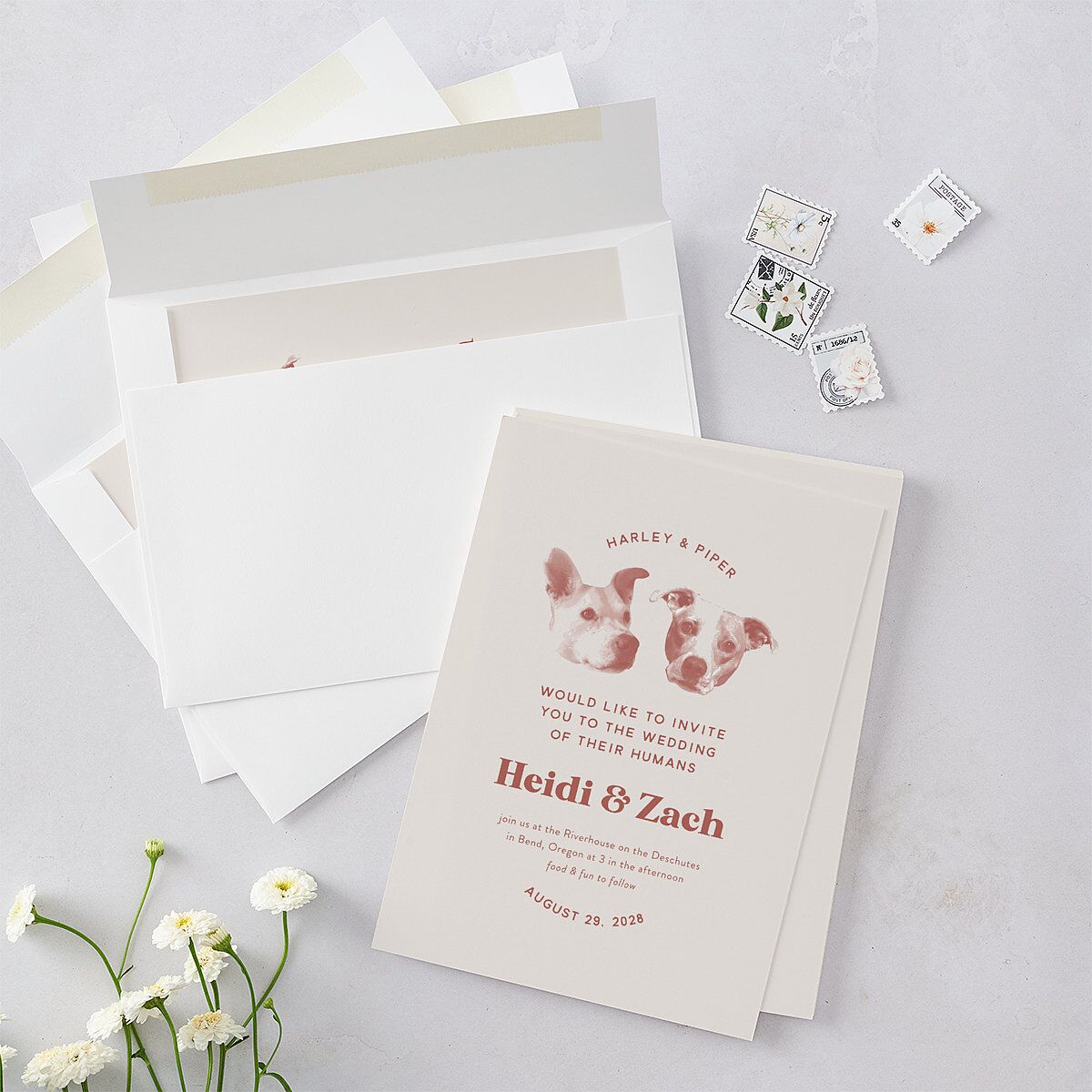 Custom Pet Portrait Wedding Invitations Desert Rose Signature Blank