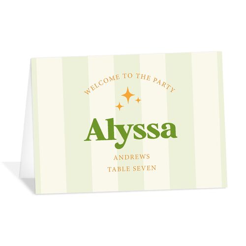Colorful Retro Stripes Place Cards Sea Foam Signature