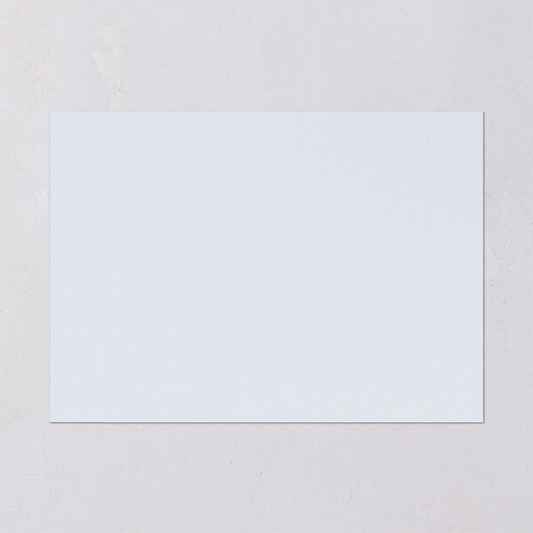 Elegant Antique Toile Frame Bridal Shower Invitations by Bridgerton Cruise Signature Blank