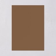Soft Pampas Botanical Wedding Invitations Sepia Signature Blank No Standard