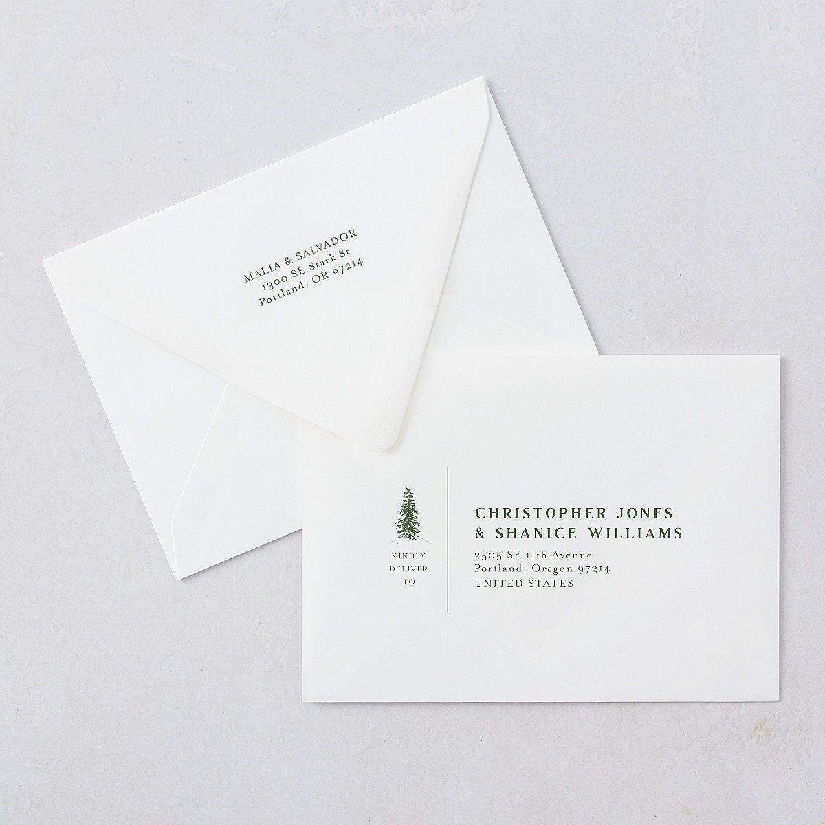 Etched Mountains Save The Date Card Euro Envelopes White Hunter Green Both Recipient and Return Addresses Luxe Signature