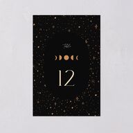 Celestial Galaxy Table Numbers Midnight Signature