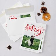 Painted Merry Holiday Cards Ruby Signature Blank Standard Portrait