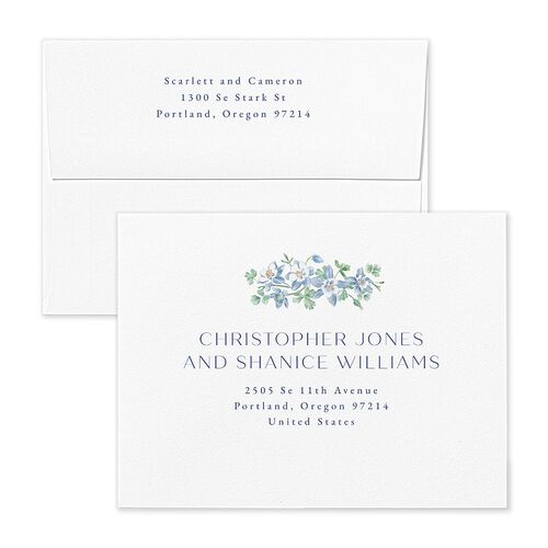 Scenic Denver Colorado Thank You Card Envelopes Pastel Blue White Both Recipient and Return Addresses Signature Standard