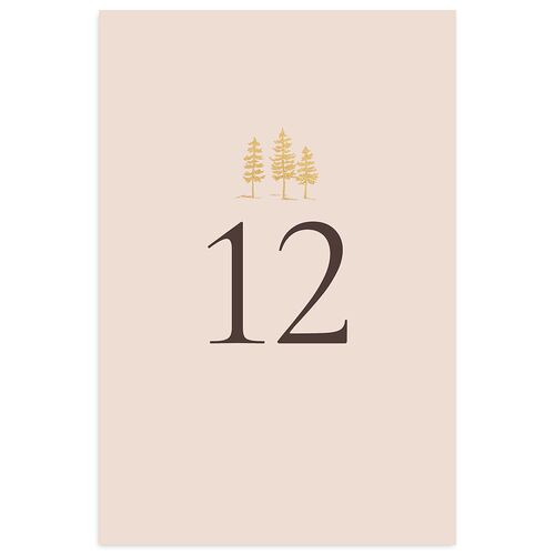 Aspen Table Numbers Gold Deep Bronze Signature