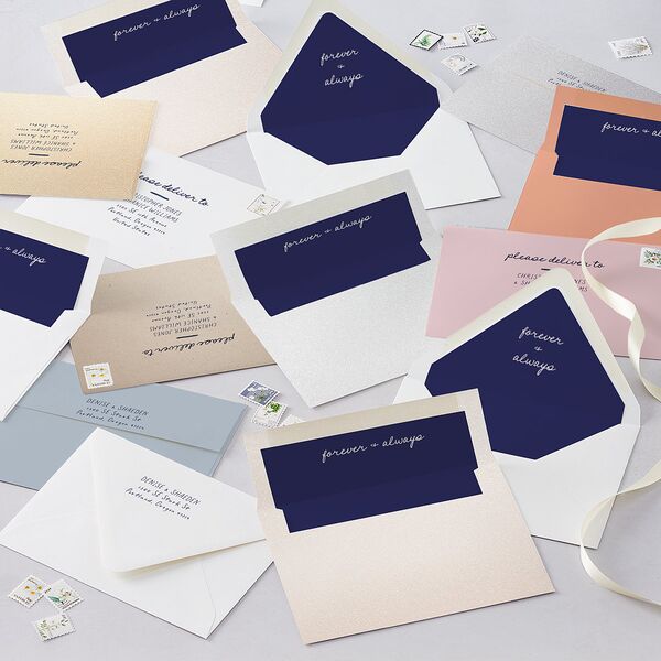Dainty Bow Save the Date Cards Navy Signature smooth Blank No Standard