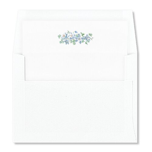 Scenic Denver Colorado Envelope Liners Tide Pool Standard