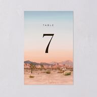 Desert Cactus Table Numbers Peach Fuzz Signature