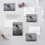 Gilded Corner Save the Date Postcards Pure White