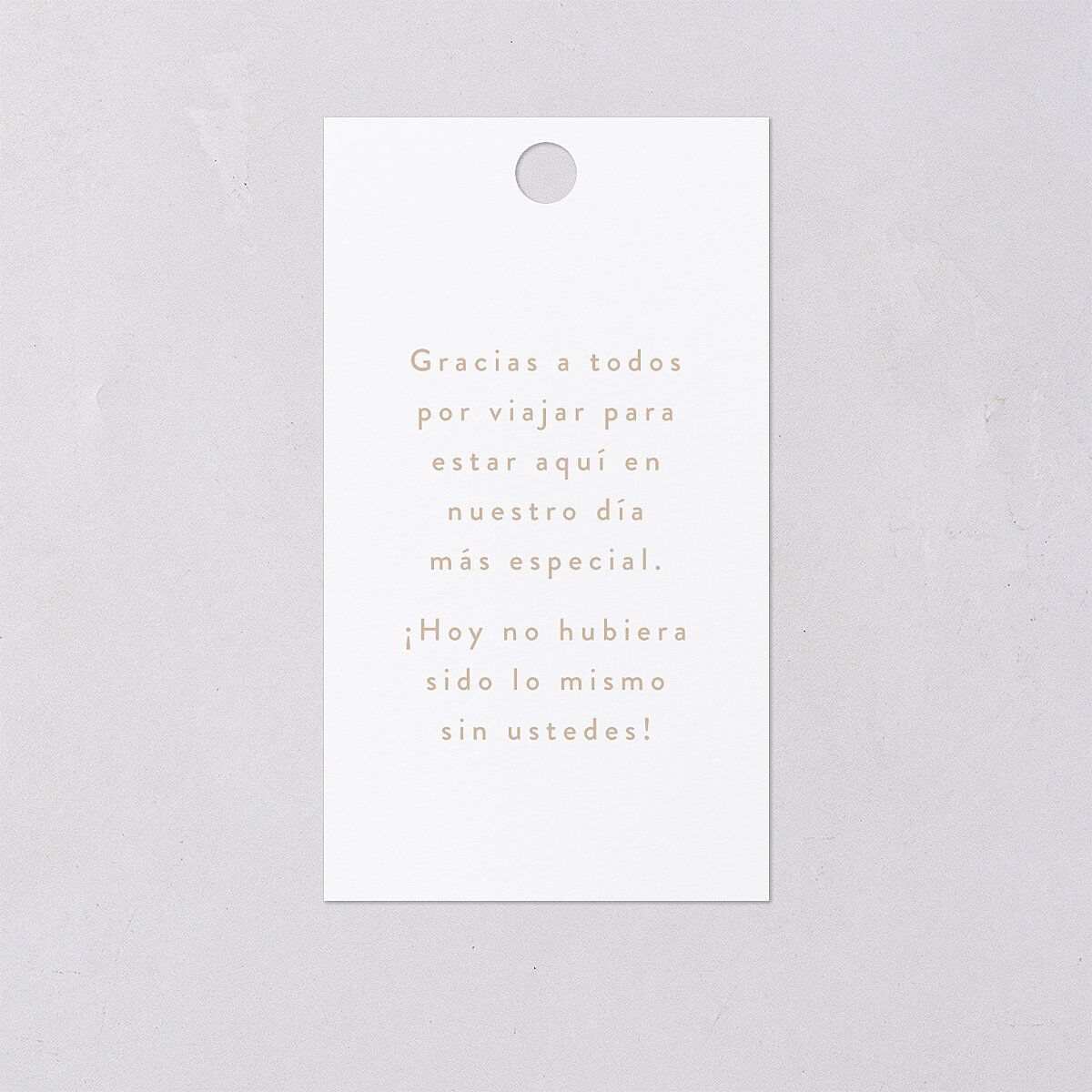 Papel Picado De Mexico Favor Gift Tags Taupe Signature
