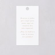 Papel Picado De Mexico Favor Gift Tags Taupe Signature