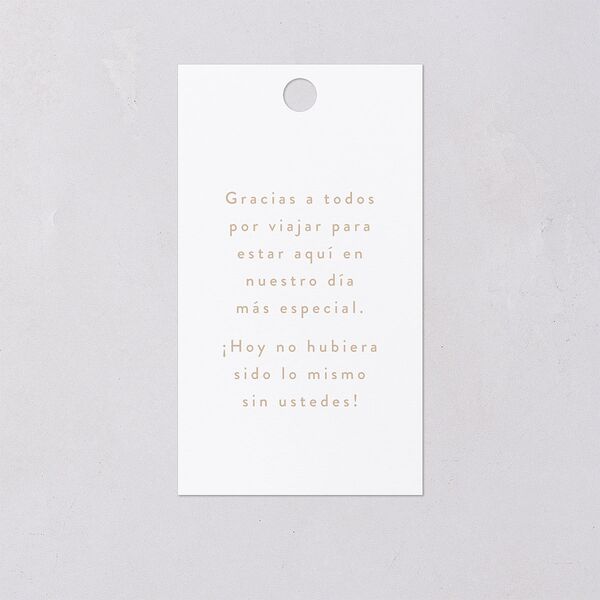 Papel Picado De Mexico Favor Gift Tags Taupe Signature