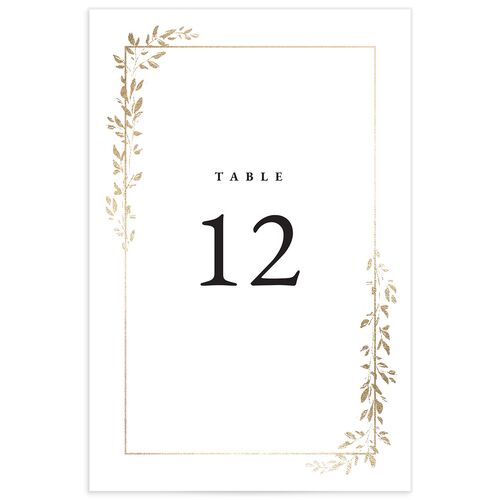 Delicate Frame Table Numbers