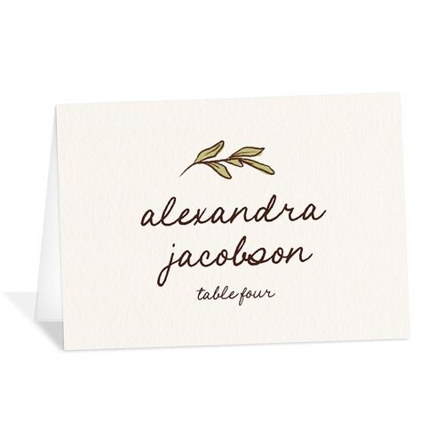 Hand Drawn Tablescape Place Cards Camel Signature