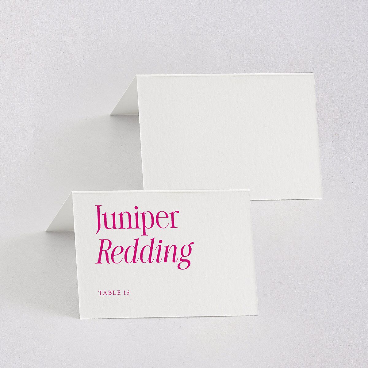 Stay For The Party Place Cards Hot Pink Signature