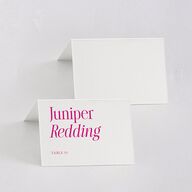 Stay For The Party Place Cards Hot Pink Signature