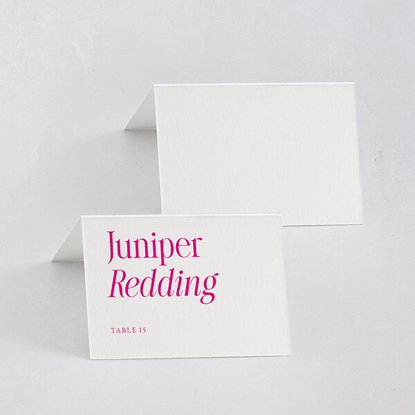 Stay For The Party Place Cards Hot Pink Signature