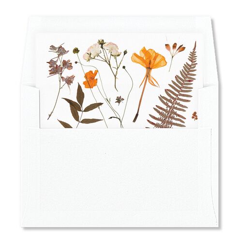 Pressed Flowers Standard Envelope Liners Pumpkin Standard