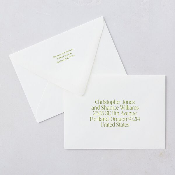 Modern Editorial Wedding Date Save The Date Card Euro Envelopes White Meadow Both Recipient and Return Addresses Luxe Signature