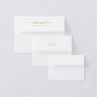 Modern Delicate Bows Save the Date Petite Card Envelopes Peridot White Both Recipient and Return Addresses Signature Standard